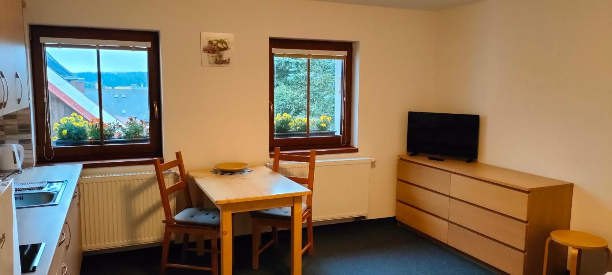 Apartmany Na Namesti Boží Dar 外观 照片